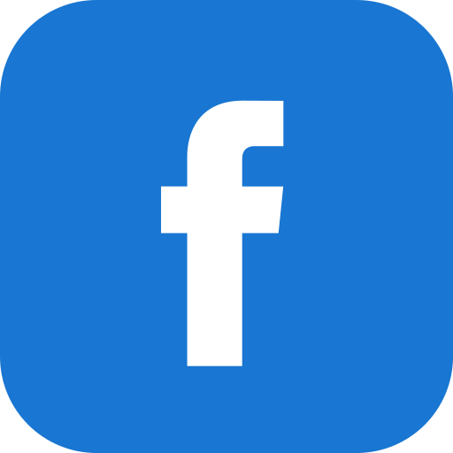 Facebook [ Page And Profile Followers ]