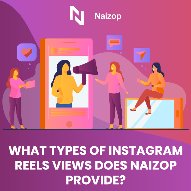 What Types of Instagram Reels Views Does Naizop Provide?