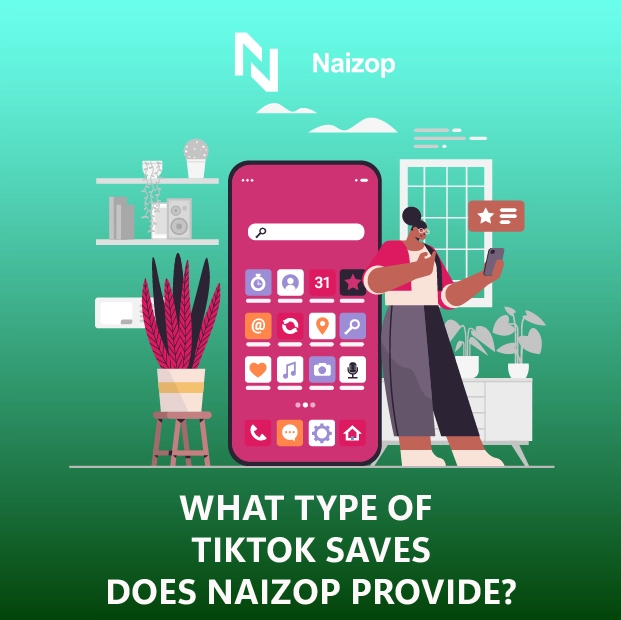 What Types of TikTok Saves Does Naizop Provide?