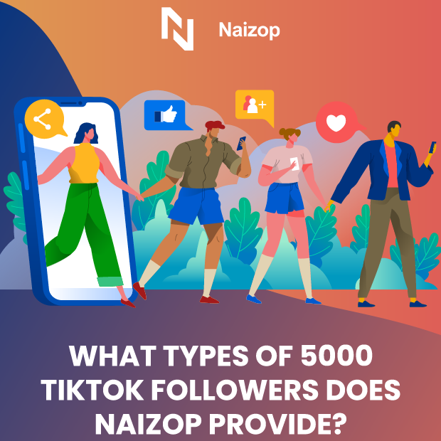 What Types of TikTok Followers Does Naizop Provide?