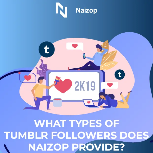 Types of Tumblr Followers Naizop Provides