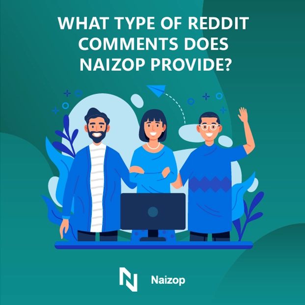 What Types of Reddit Comments Does Naizop Provide?