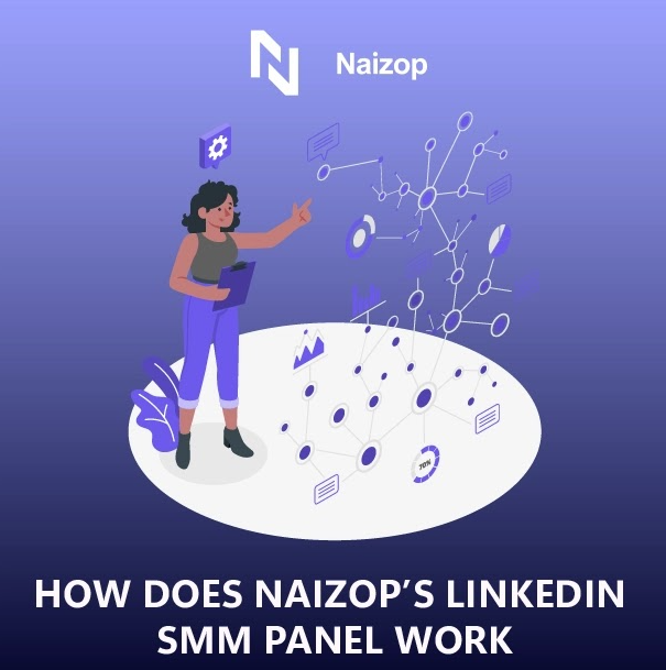 How Does Naizop's LinkedIn SMM Panel Work