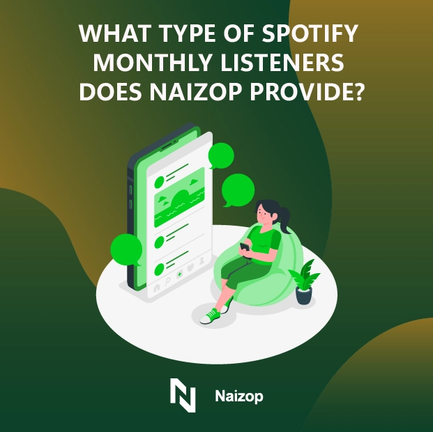 What Spotify Followers Types Does Naizop Provide?