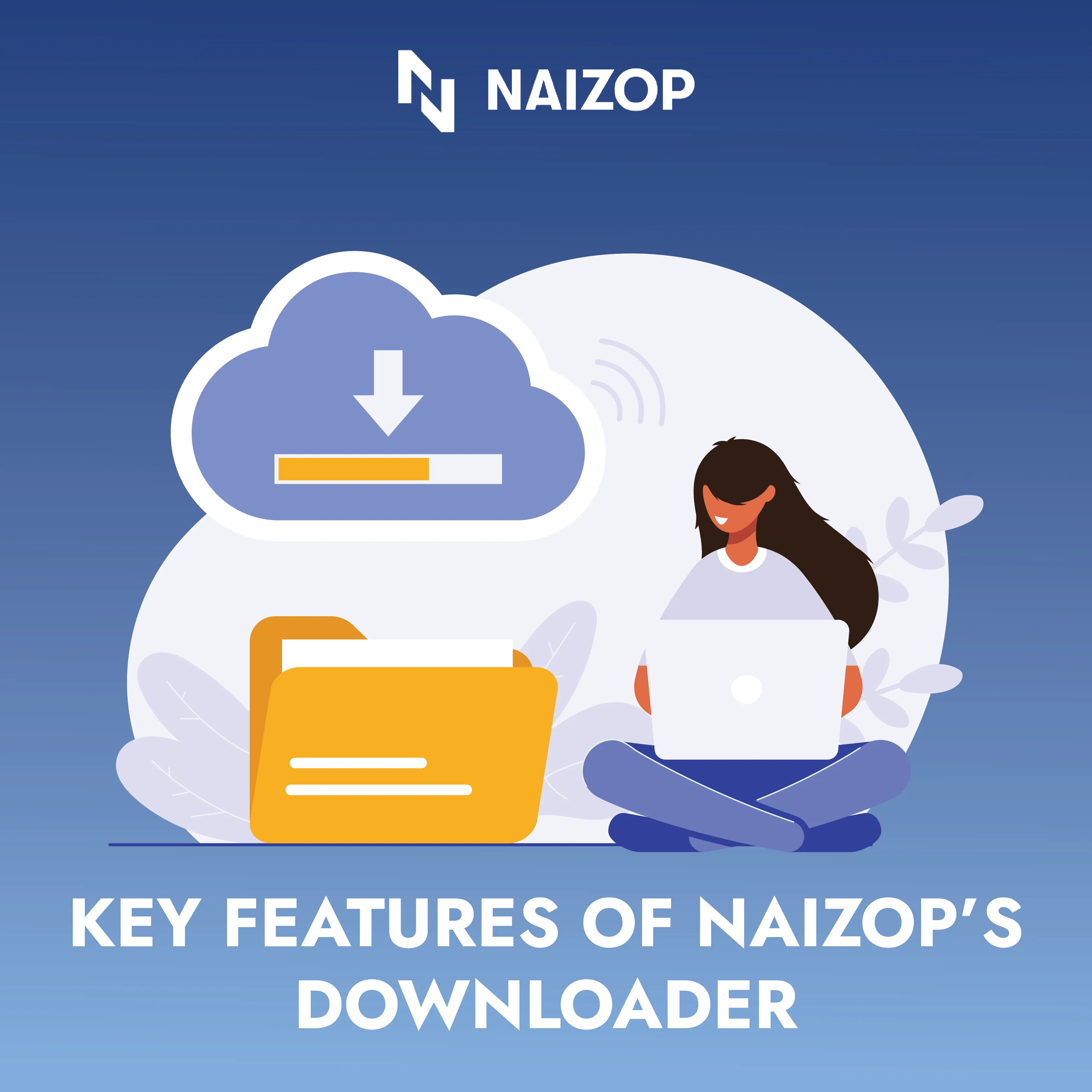 Key Features of Naizop's Downloader