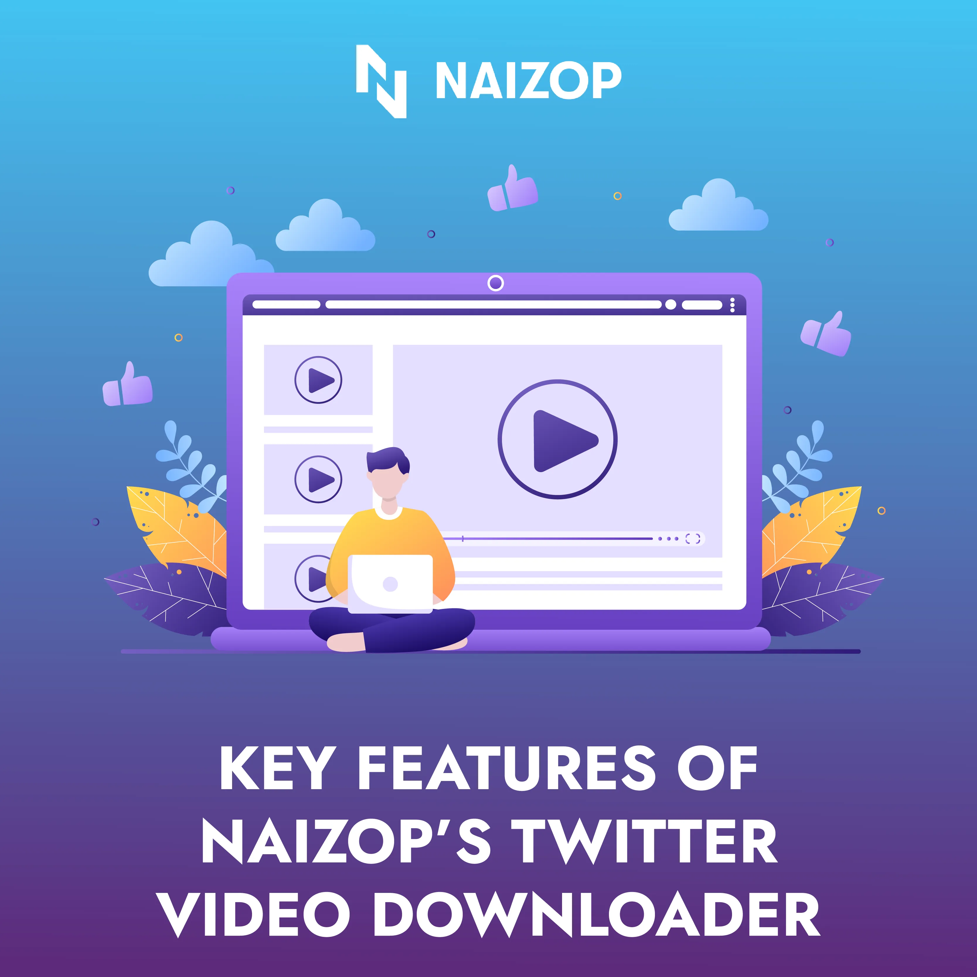 Key Features of Naizop's Twitter Video Downloader