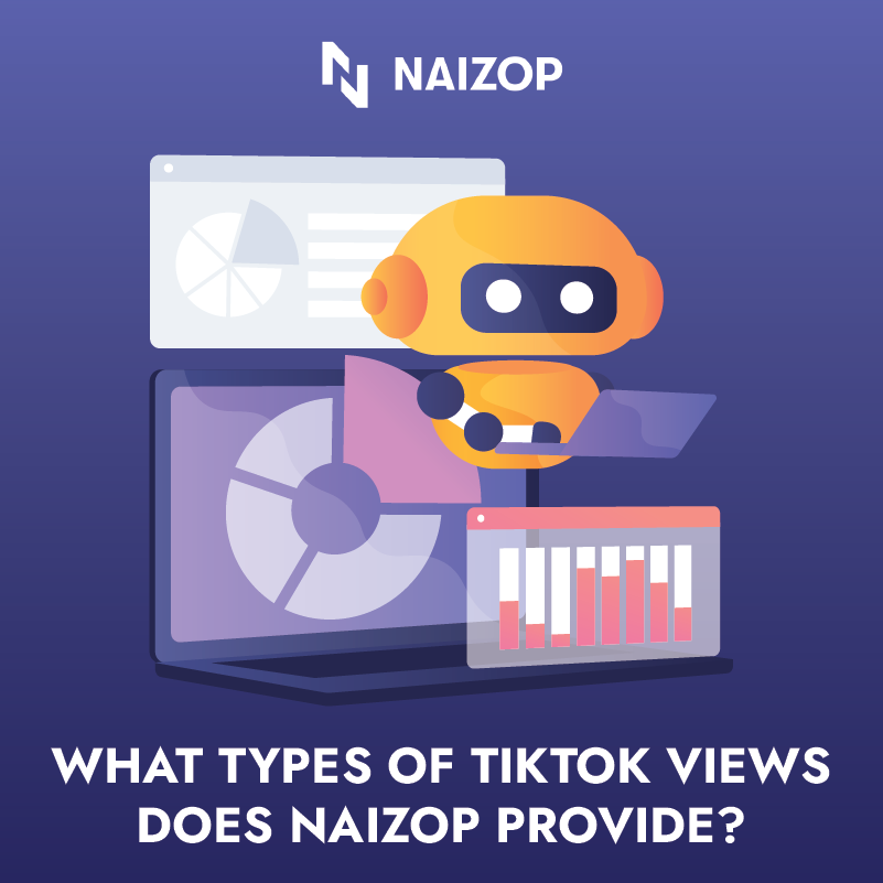 What Types of TikTok Views Does Naizop Provide?
