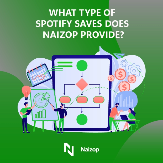 What Types of Spotify Saves Does Naizop Provide?