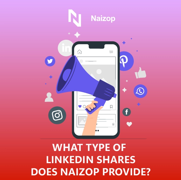 What Types of LinkedIn Shares Does Naizop Provide?