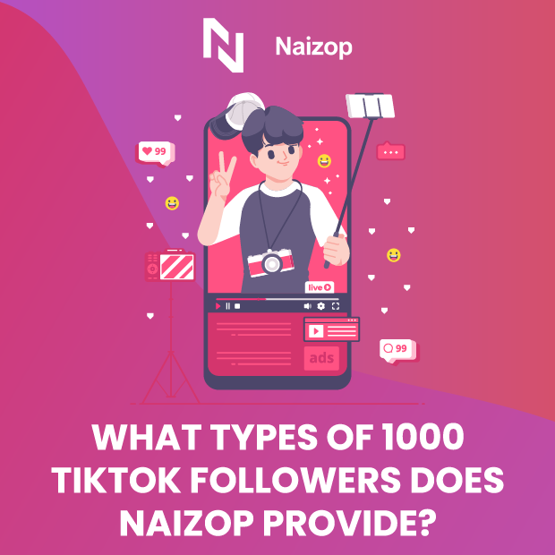 What Types of TikTok Followers Does Naizop Provide?