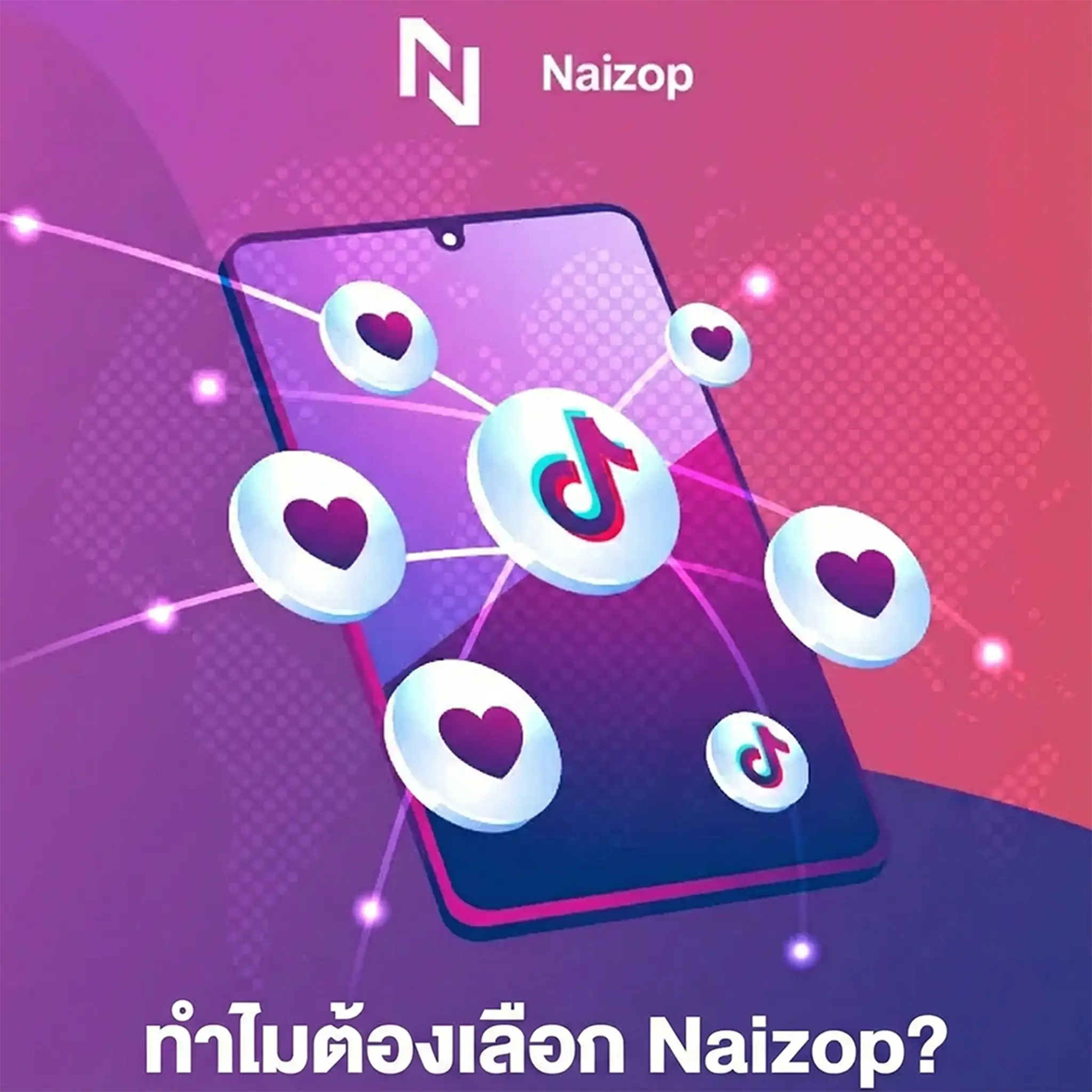 Why Choose Naizop?