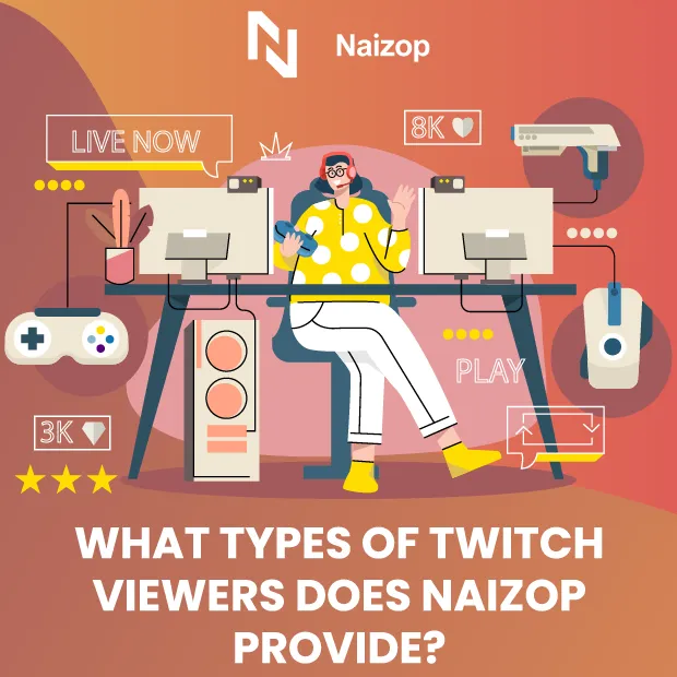 What Types of Twitch Viewers Does Naizop Provide?