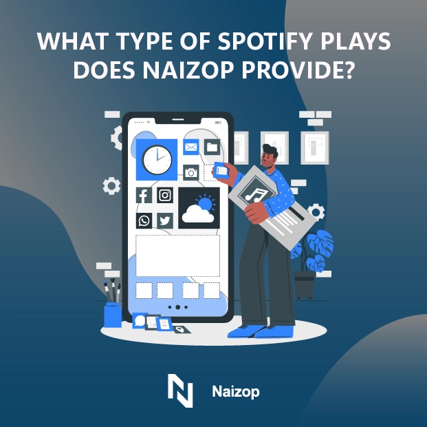 What Types of Spotify Plays Does Naizop Provide?