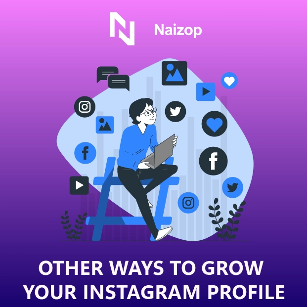 <strong>Other Ways to Grow Your Instagram Profile</strong>