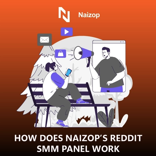 How Does Naizop's Reddit SMM Panel Work?