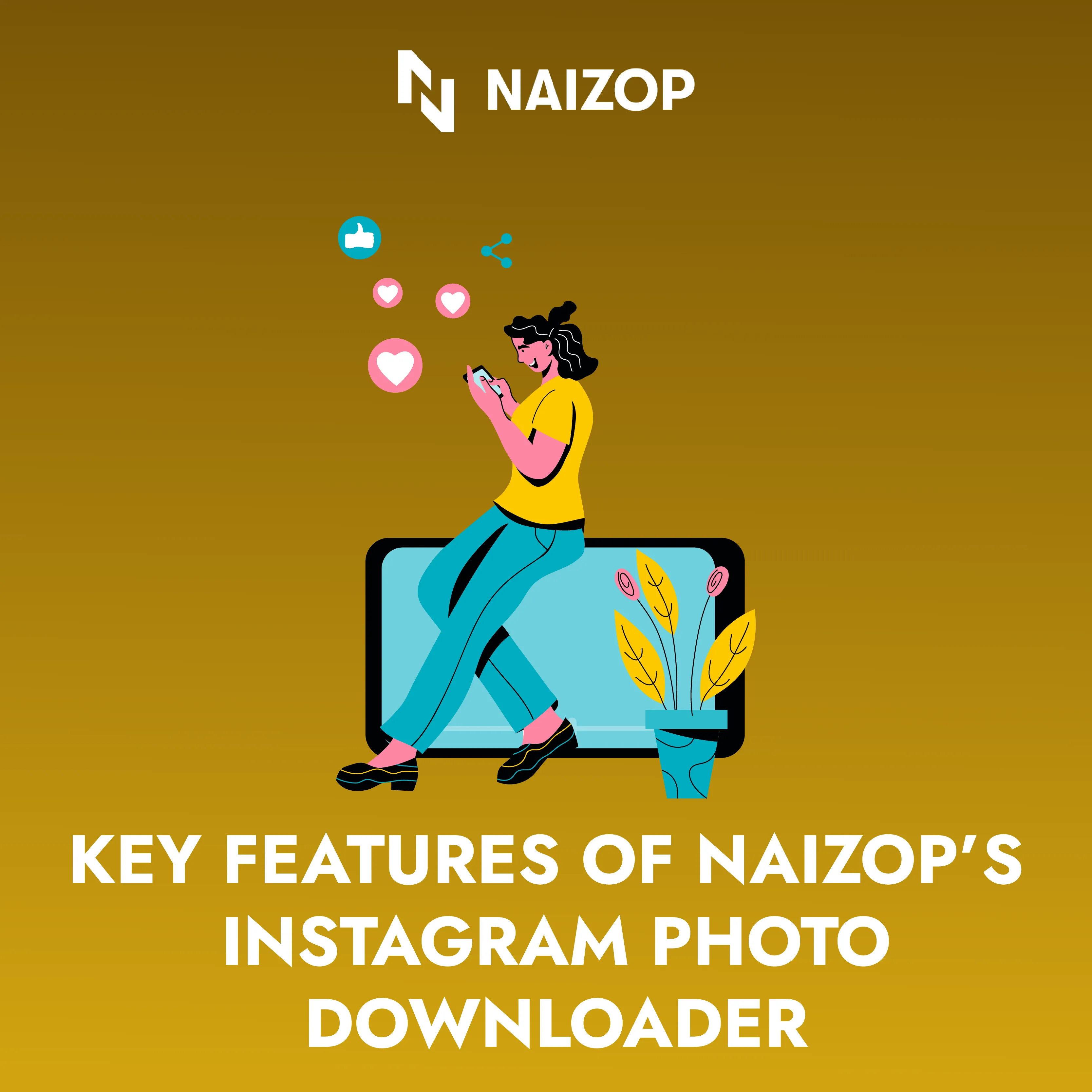 Key Features of Naizop's Instagram Photo Downloader