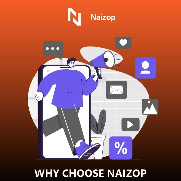 Why Choose Naizop for Your Reddit Growth