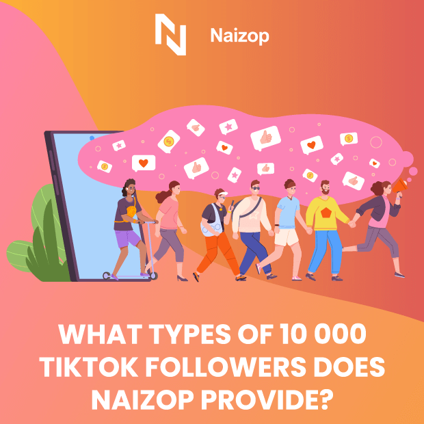 What Types of TikTok Followers Does Naizop Provide?