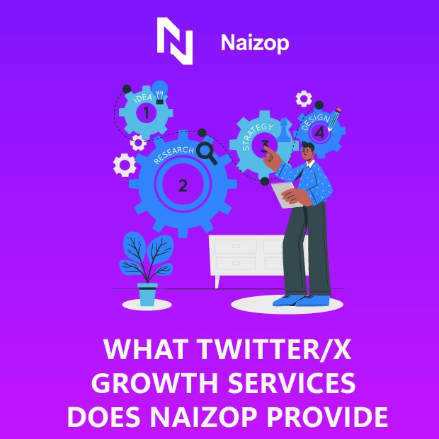 <strong>What Twitter Growth Services Does Naizop Provide?</strong>