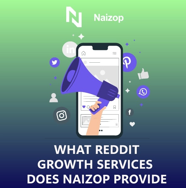 What Reddit Growth Services Does Naizop Provide?