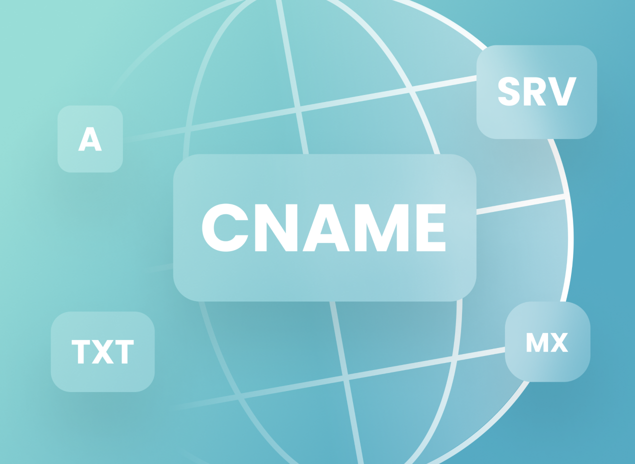 What are DNS records and how to manage them in Perfect Panel