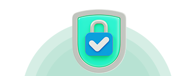 Security shield icon representing safe and private Instagram follower services