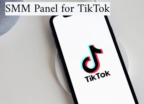 SMM Panel for TikTok