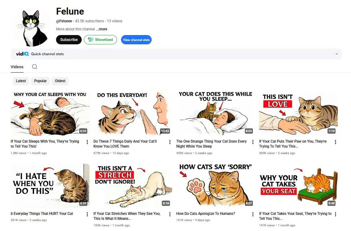 Ngách video về mèo: Felune giải mã hành vi mèo, 112.000 sub