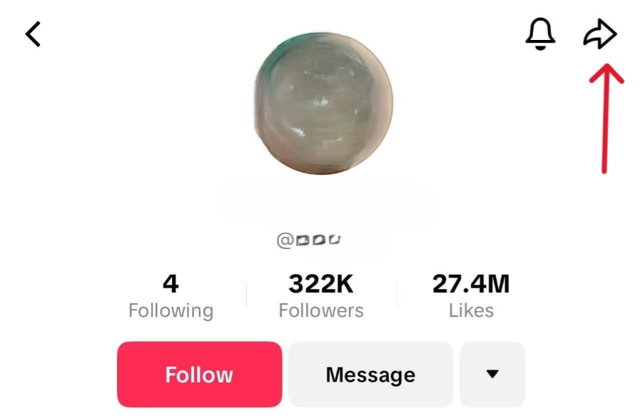 TikTok profile page with a red arrow pointing to the share icon in the top right corner.