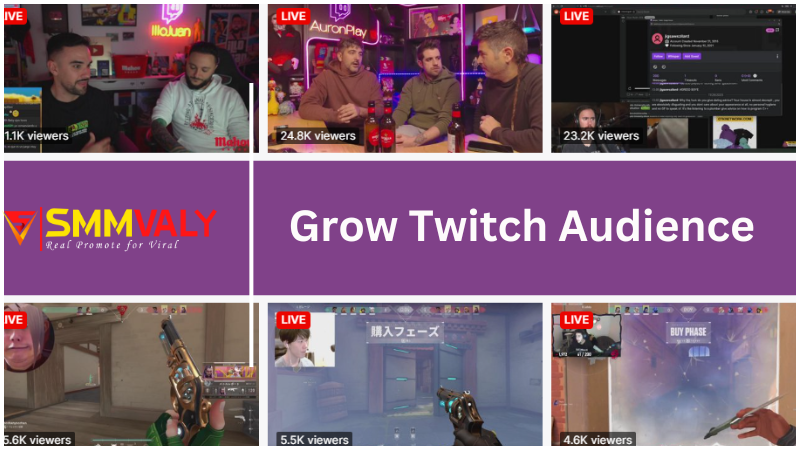 How to Grow Your Twitch Audience Fast: Proven Strategies to Get More Viewers