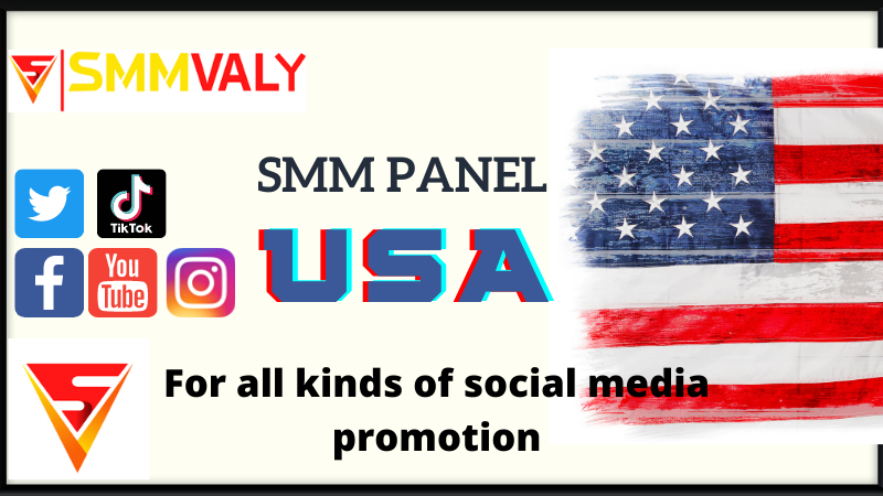 Best SMM panel in USA – A Wholesale SMM service provider