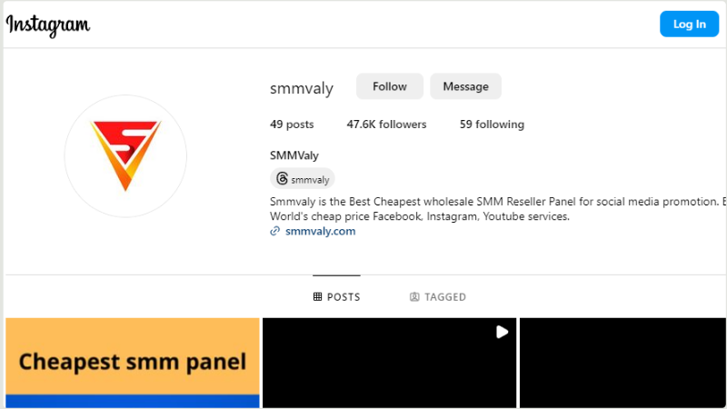 What is the safest SMM Panel to buy Instagram followers in 2024?