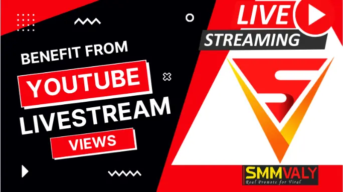 Youtube live stream views | highest Youtube live watching | SMMVALY