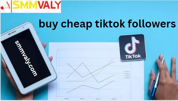 Buy cheap TikTok Followers and Boost your Growth Fast with SMMVALY 