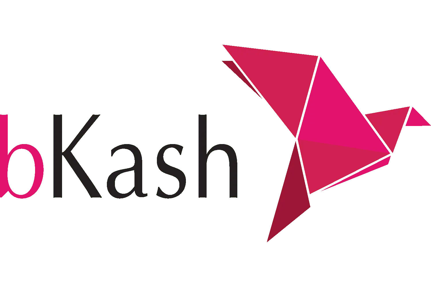 SMM Panel BD Payment method bKash