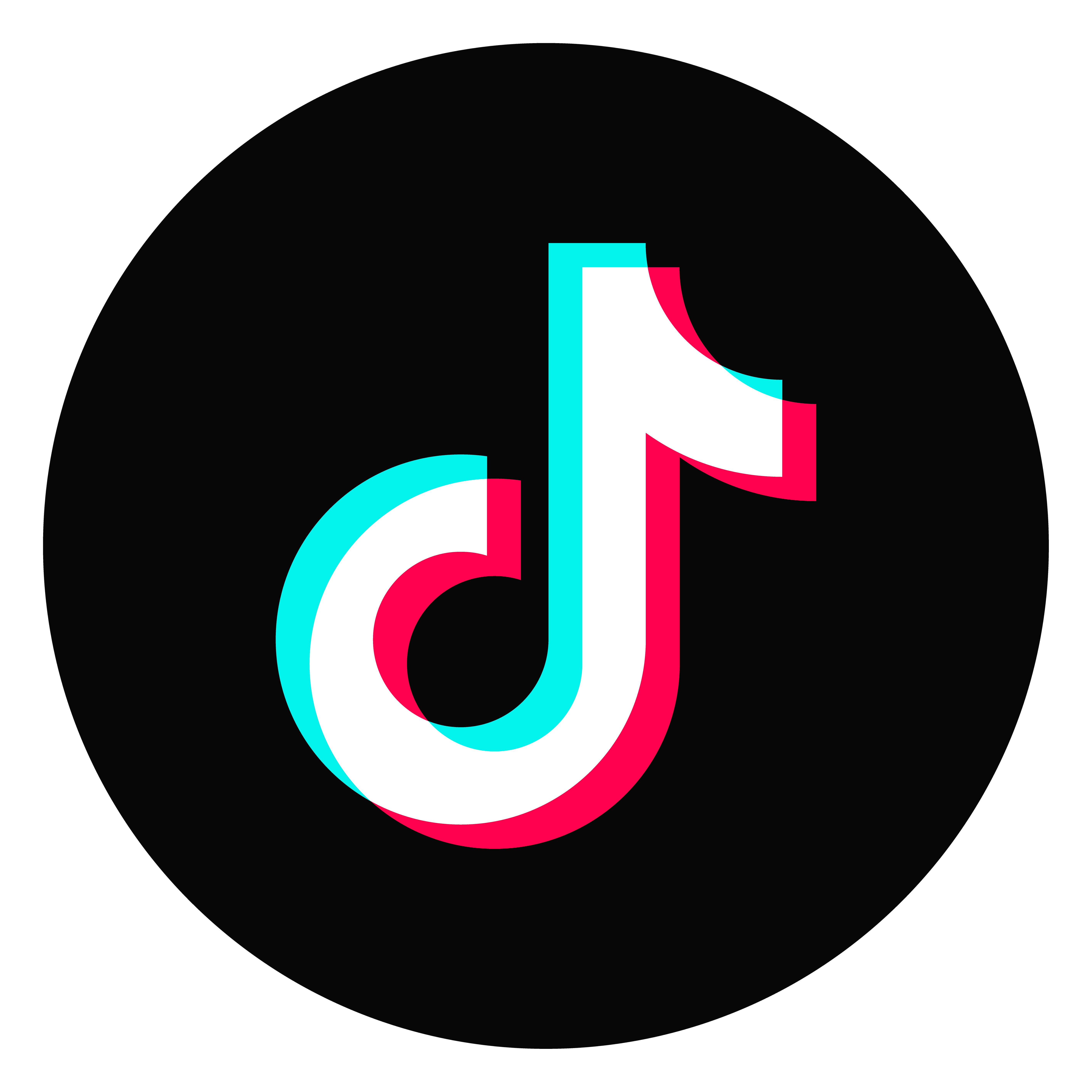 TikTok Followers [No Refill]