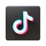 Tiktok - Seguidores Brasileiros 🇧🇷