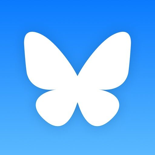 BLUESKY | Seguidores