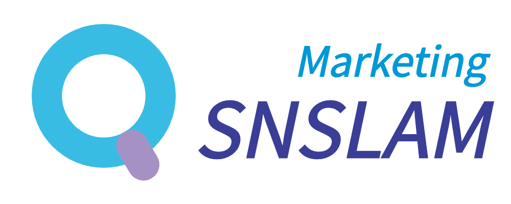 SNS램