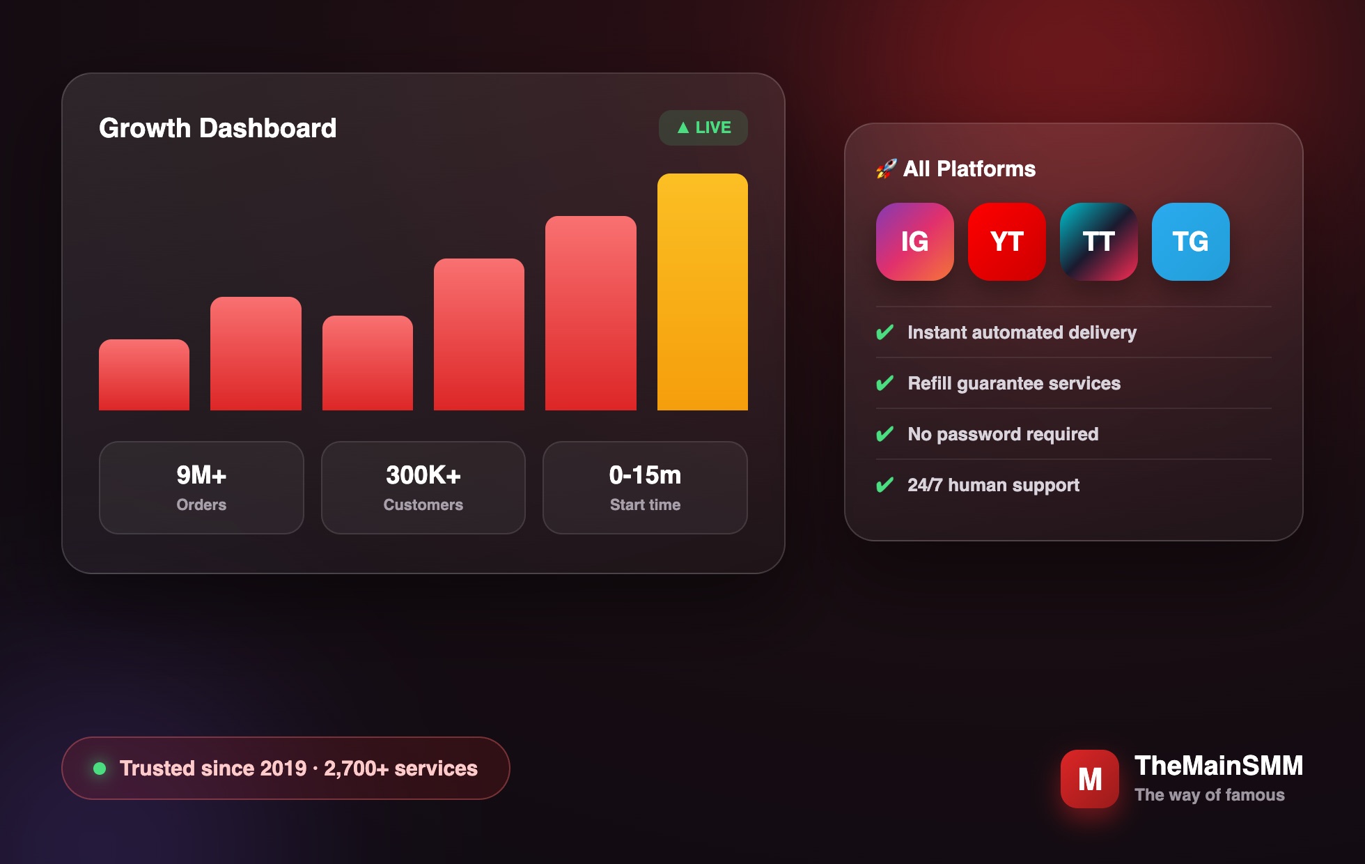 TheMainSMM growth dashboard