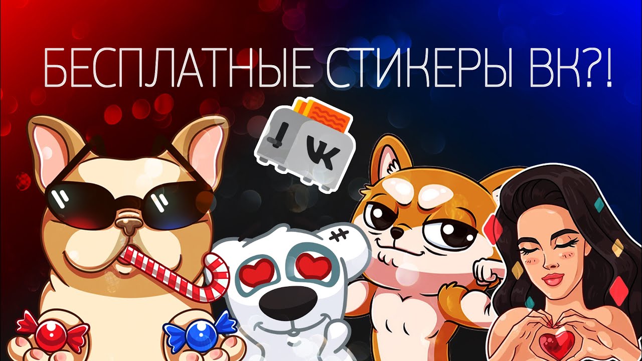 Купить живых подписчиков в группу ВК – гид по 22 сайтам