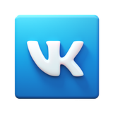 Seguidores de Vkontakte - [Cuenta de alta calidad]