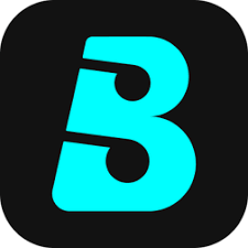 Boomplay - [Seguidores]