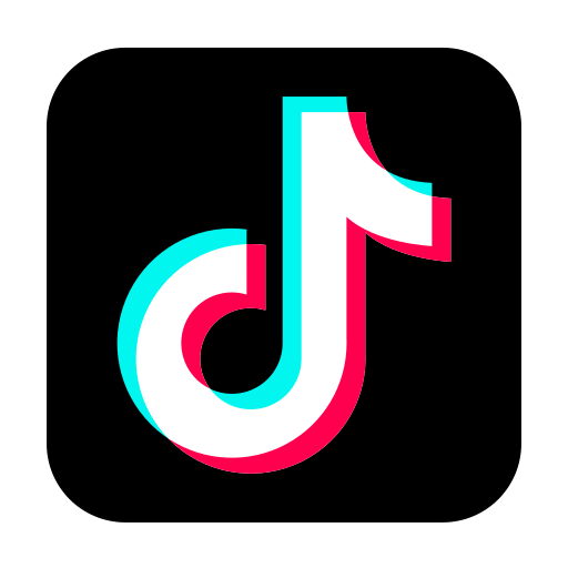 TikTok Followers