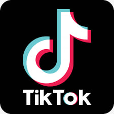 Tiktok 粉丝