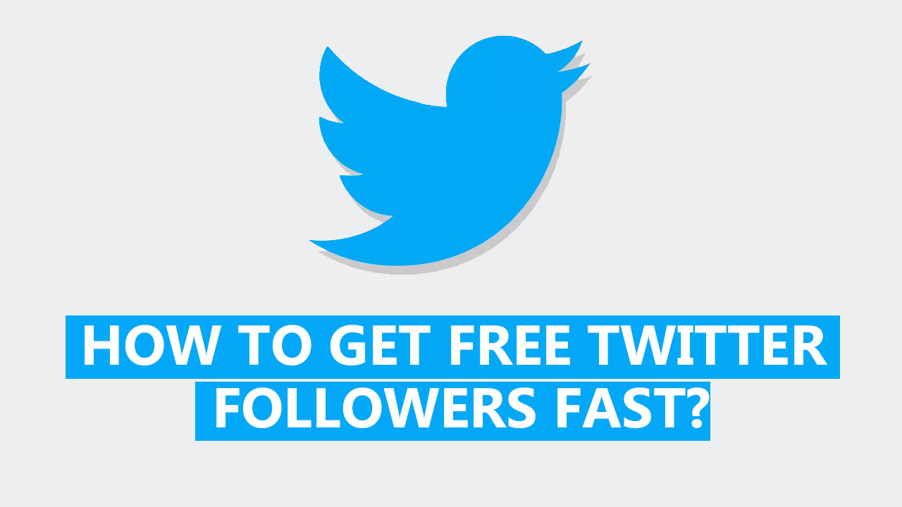 increase twitter followers in 2022