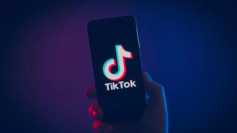 Tik Tok Cheat Likes For Free Without Registration