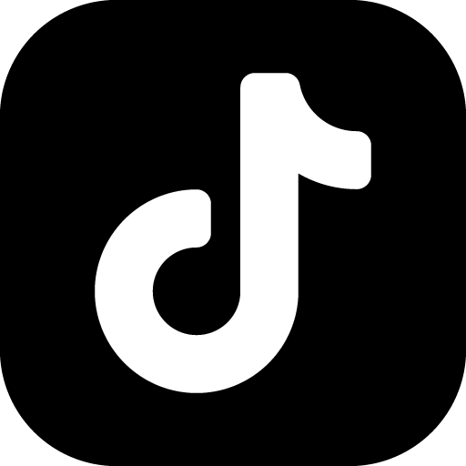 TikTok Seguidores