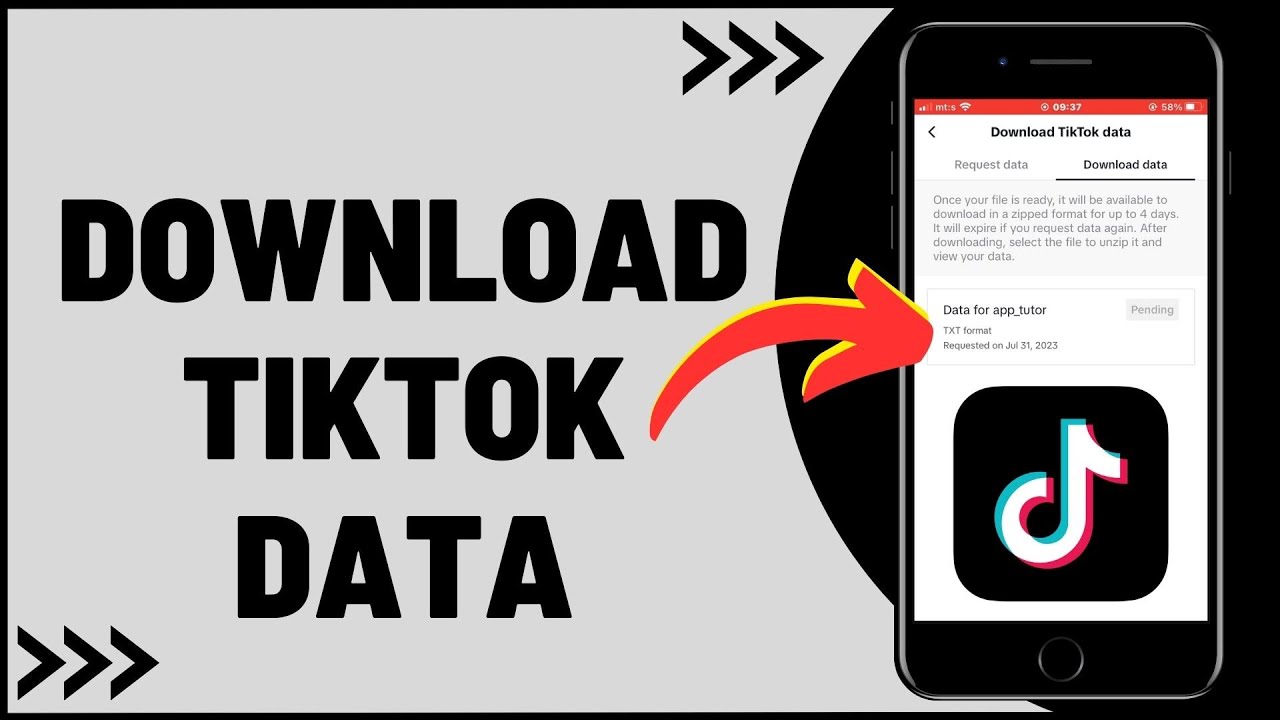How to Download TikTok Data?
