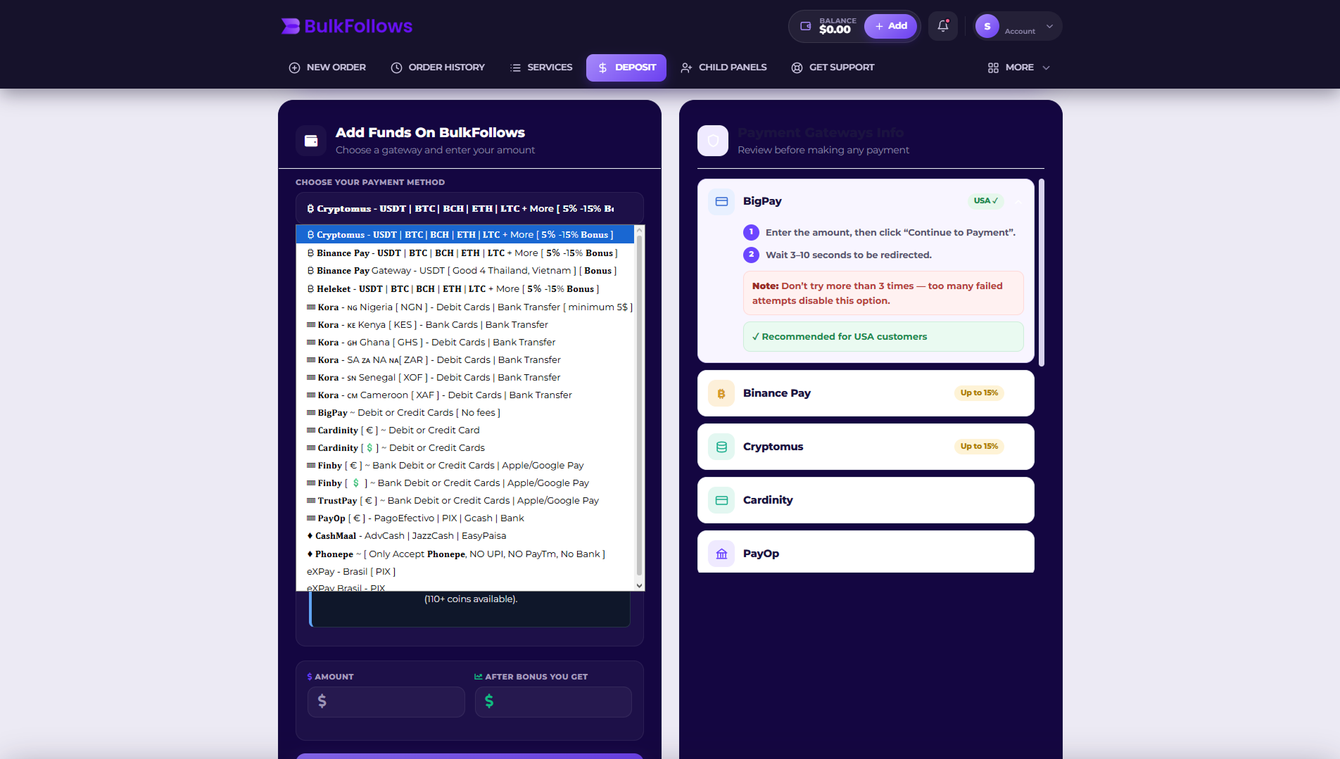 Screenshot: BulkFollows checkout page